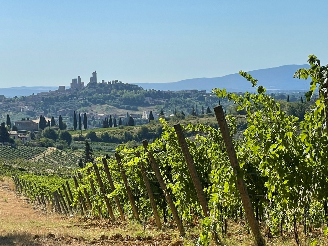 Zicht op San Gimignano