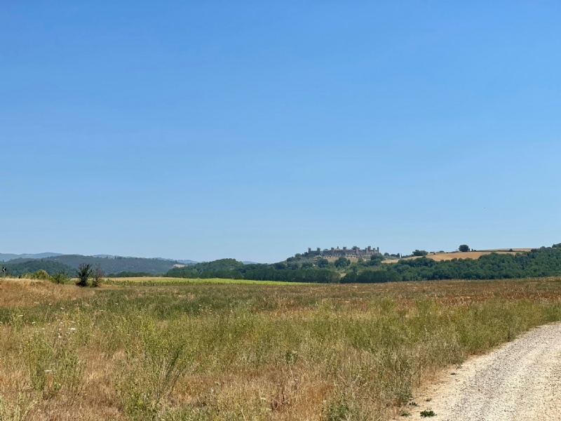 Zicht op Monteriggioni Zicht op Monteriggioni