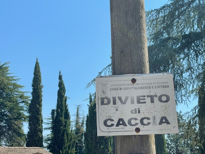 Divieto di caccia