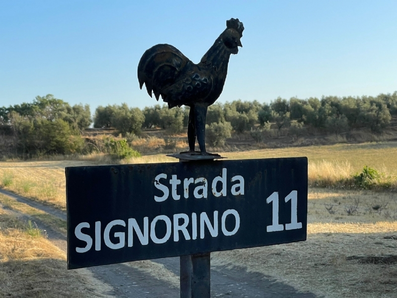 Strada Signorino Strada Signorino