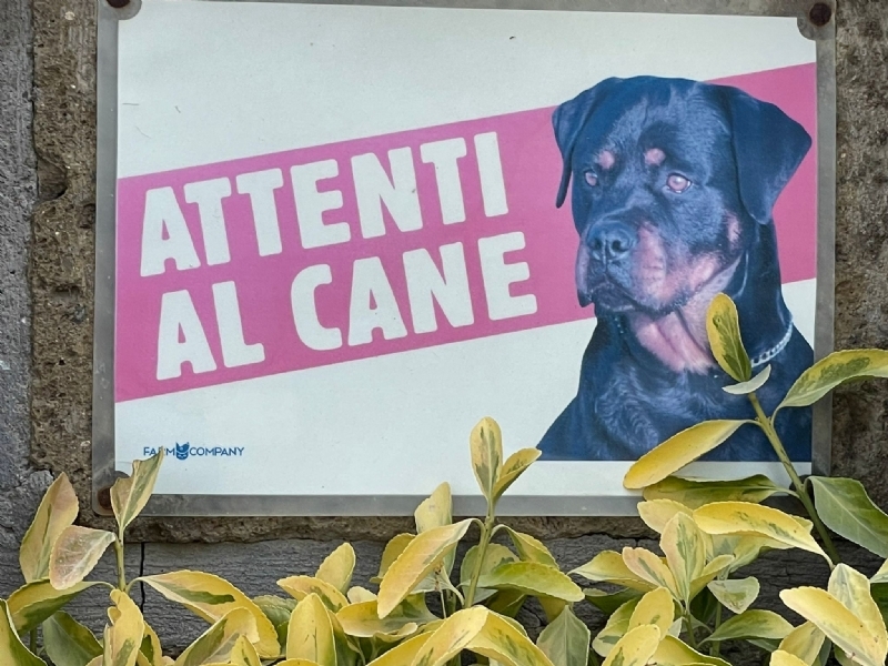 Attenti al Cane