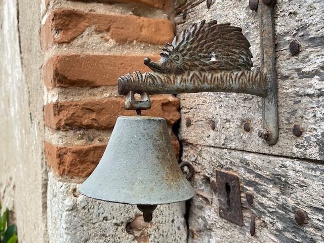 Festina Lente: haast u langzaam Festina Lente: haast u langzaam