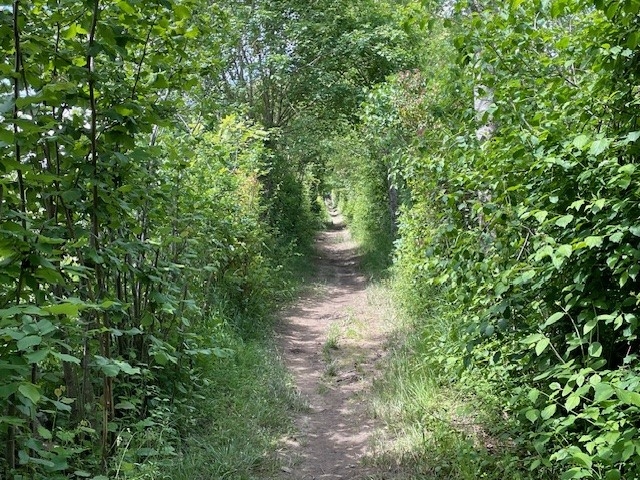 Dit ziet er heel romantisch uit, maar soms ook tricky en slipperig door de vele regen en de modder Dit ziet er heel romantisch uit, maar soms ook tricky en slipperig door de vele regen en de modder